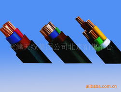 電力電纜技術(shù)專家劉國(guó)強(qiáng)的專業(yè)貢獻(xiàn)與行業(yè)影響